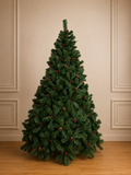 Árbol Quebec