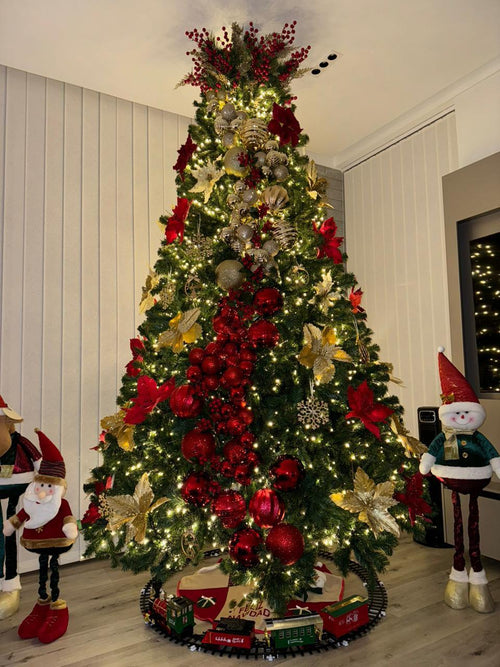 Árbol Continental