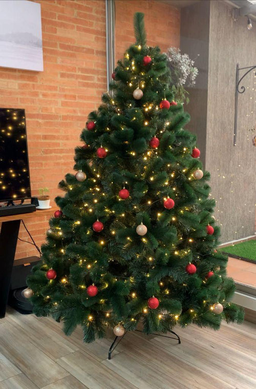 Árbol Royal