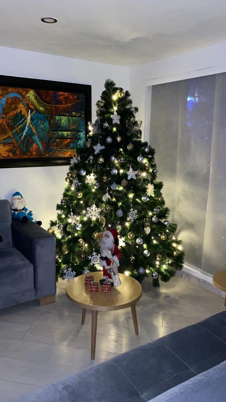 Árbol Royal